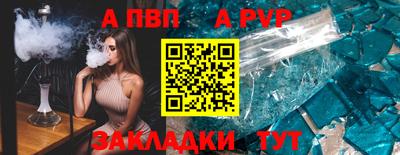 кокс Кингисепп