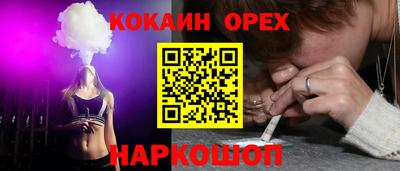 кокс Кингисепп