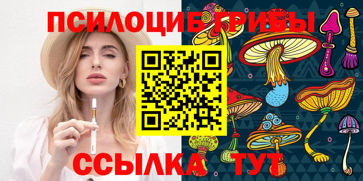 магазин  наркотиков  Псилоцибиновые грибы прущие грибы  Вход с VPN  Галлюциногенные грибы прущие грибы  Серов 